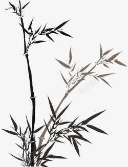 黑白竹子竹林挺拔高清图片