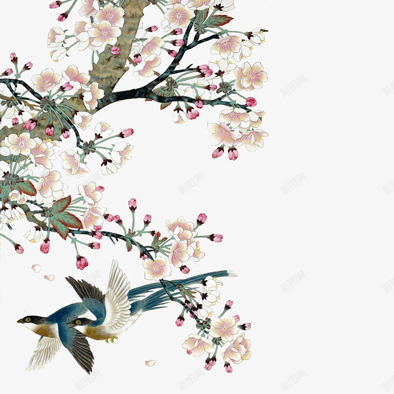 花鸟图png免抠素材_88icon https://88icon.com 喜鹊 小鸟 花枝 花鸟图 飞翔