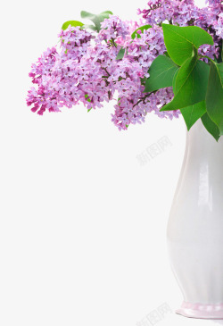 紫色的花瓶紫丁香高清图片