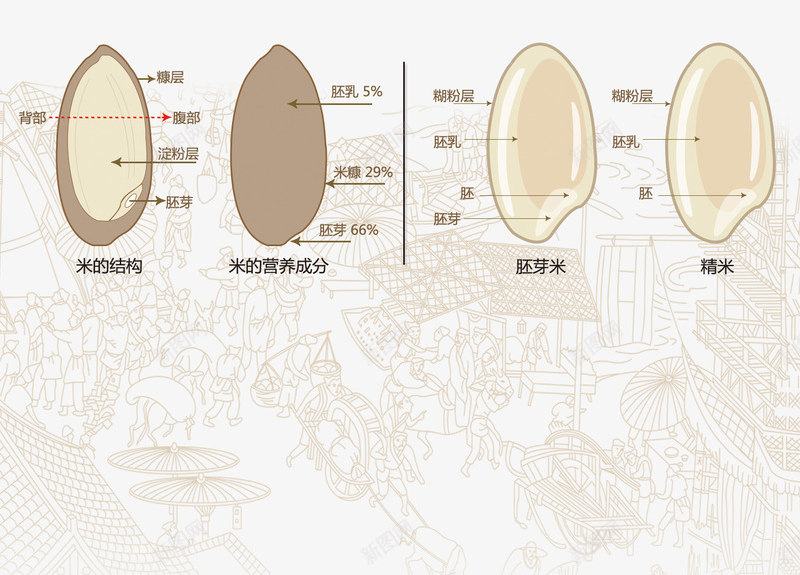 大米颗粒png免抠素材_88icon https://88icon.com 一粒米 大米 稻穗 米粒