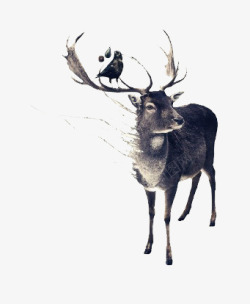 矢量小鸟与森林梦幻元素鹿高清图片