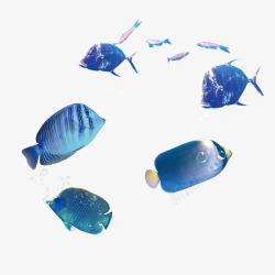 动物鱼角色海洋里面的鱼高清图片