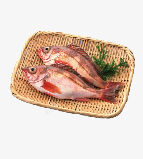 鲜美挡不住png免抠素材_88icon https://88icon.com 海草 海鲜 篮子 美味 草鱼