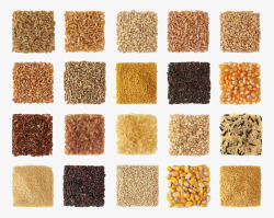 小麦高粱粮食组成的方块高清图片