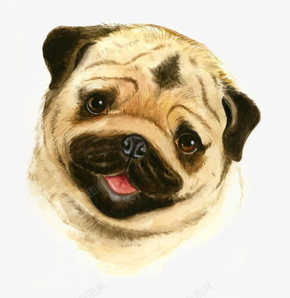 水彩沙皮犬png免抠素材_88icon https://88icon.com 卡通小狗 可爱小狗 宠物狗 小狗插画 小狗素材 手绘小狗