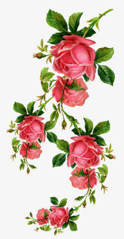 卡通手绘鲜花玫瑰素材