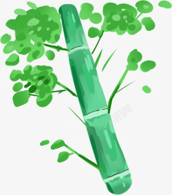 清新的竹子元素素材