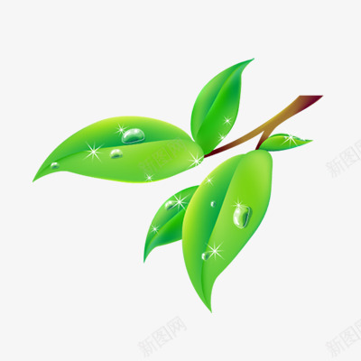 前景装饰花草png免抠素材_88icon https://88icon.com 前景装饰 花草