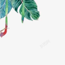 热带雨林水墨画插图边框素材