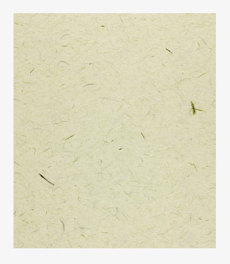 白色纸纹理装饰png免抠素材_88icon https://88icon.com 室内装饰 广告设计 文艺 海报设计 米白色 纤维材质背景 纤维纹理 纸纤维 背景底纹