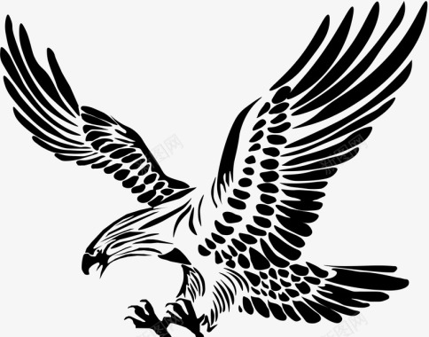 手绘海鸥装饰手绘老鹰图标图标