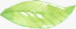 绿色水彩画草树叶11素材