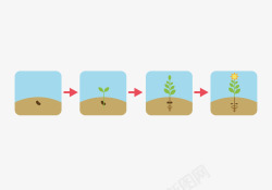 植被生长过程素材