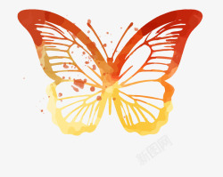 卡通手绘文艺简约蝴蝶动物插画设素材