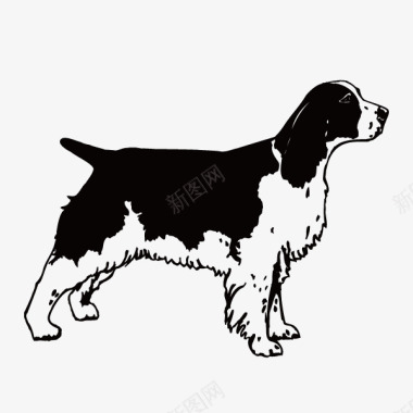 黑白色长毛小狗简图图标图标