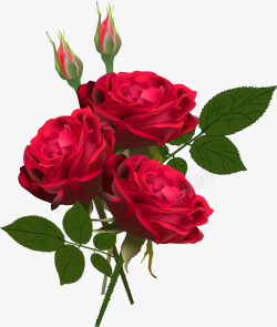 商业图案红色手绘玫瑰花高清图片