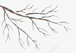 枯树枝免扣元素冬天的枯树枝高清图片