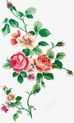 花开富贵浪漫玫瑰花束素材