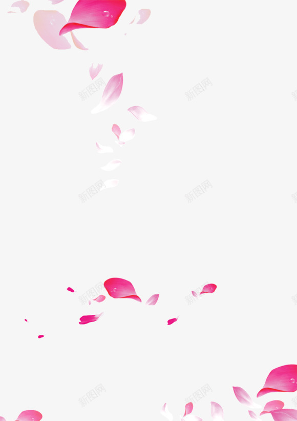 漂浮的花瓣透明背景png免抠素材_88icon https://88icon.com 漂浮的花瓣 透明背景