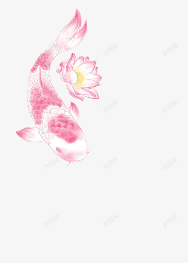 蓝花和鱼png免抠素材_88icon https://88icon.com 免费下载 卡通 古风 好运锦鲤 彩绘 手绘 电商装饰 白色 莲花 装饰 锦鲤 鱼 鲤鱼粉色