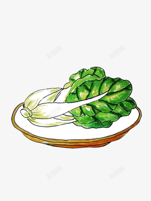 手绘盘子上的白菜png免抠素材_88icon https://88icon.com 健康 大白菜 好看的白菜 绿色
