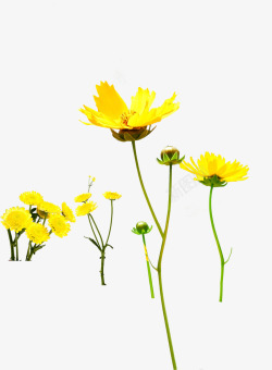 创意摄影手绘黄色的花朵造型小狗素材