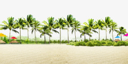 海边植物沙滩高清图片