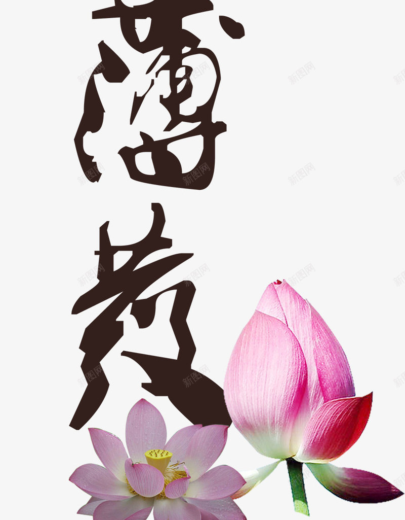 厚积薄发png免抠素材_88icon https://88icon.com 存储 毛笔艺术字 积累 花苞 荷花 莲花