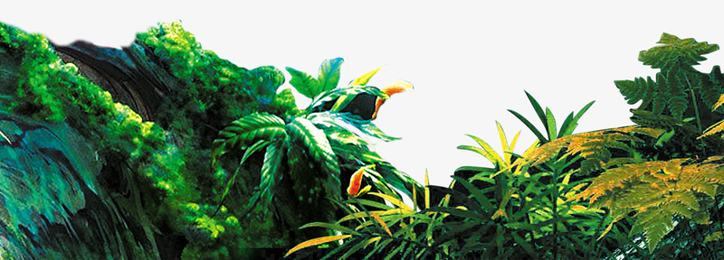 原始植物png免抠素材_88icon https://88icon.com 侏罗纪 原始 植物 蕨类
