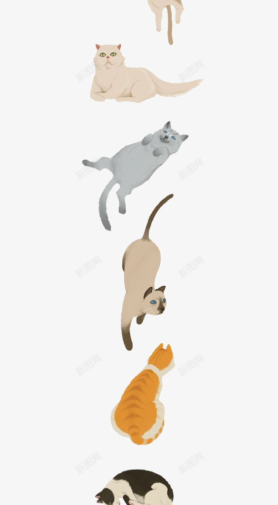 猫png免抠素材_88icon https://88icon.com 动物 卡通 可爱 宠物 手绘 插画 文艺 清新 猫