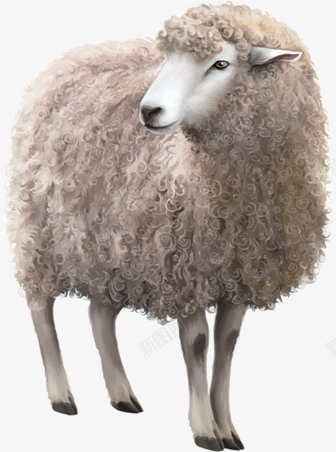 绵羊png免抠素材_88icon https://88icon.com 3d羊 动物羊 生肖羊