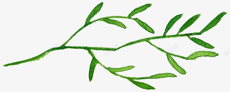 树叶png免抠素材_88icon https://88icon.com 叶子 婚庆素材 婚恋装饰 手绘 树叶