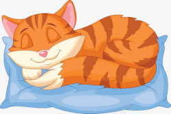 一只睡在枕头上的猫咪素材