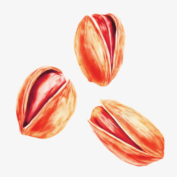 开心果坚果素材