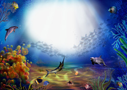 海底珊瑚精美海底世界相框高清图片