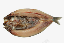 太平洋鱼太平洋青鱼高清图片