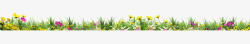 小草小花突破一片美丽的花丛高清图片