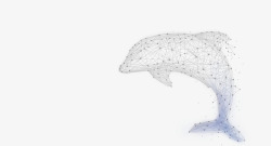 海豚免抠海豚高科技点线面线条高清图片