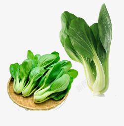 青菜绿色蔬菜蔬菜素材