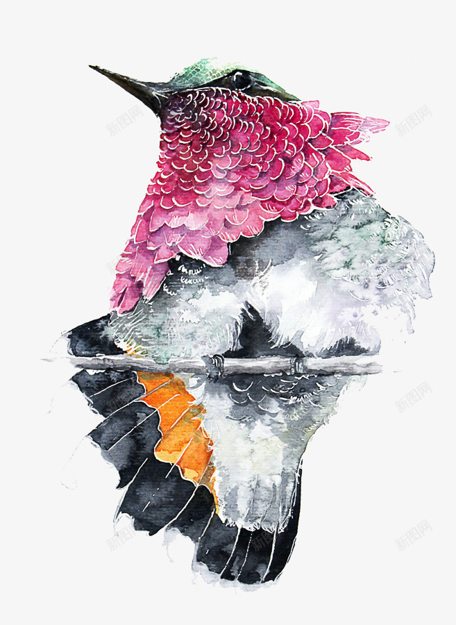 美丽的尖嘴鸟png免抠素材_88icon https://88icon.com 好看的鸟 尖嘴鸟 紫羽毛的鸟