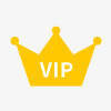VIPvip标志卡通图标图标