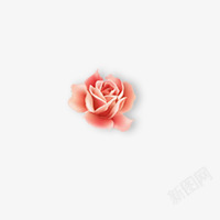 一小朵粉红色玫瑰花素材