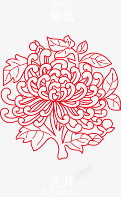 植物卷藤花朵底纹图片白描十二月份花卉高清图片