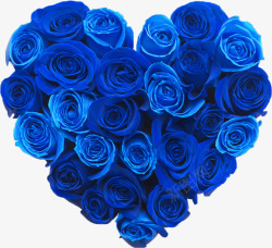 蓝玫瑰花瓣蓝色妖姬高清图片