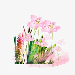 粉色小清新水彩花草装饰图案素材