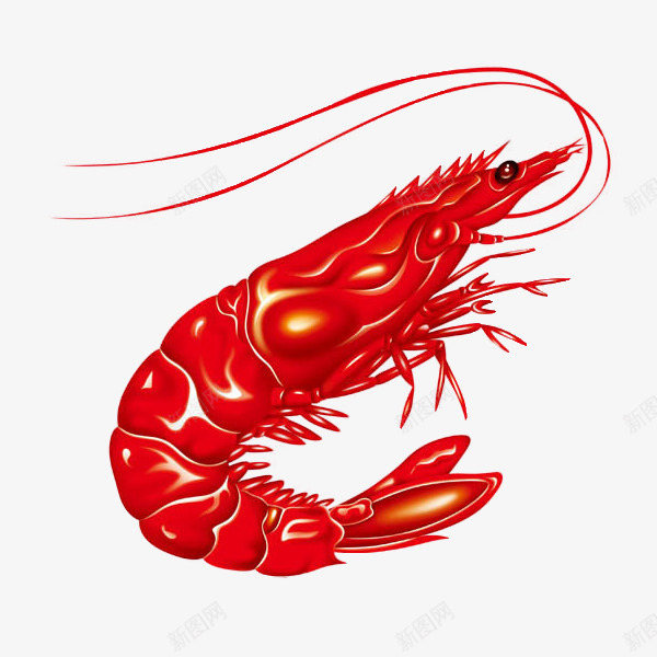 美味的大虾卡通图png免抠素材_88icon https://88icon.com 卡通 海鲜 简图 红色大虾 美味的 胡须 虾肉