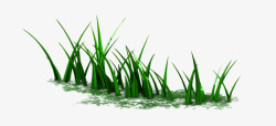 绿色水生植物花草装饰图案素材