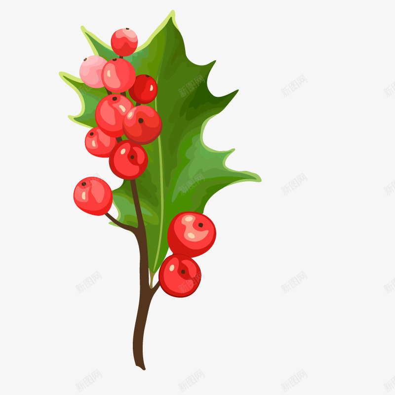绿色植物圣诞树叶子png免抠素材_88icon https://88icon.com 冬季 圣诞节植物 手绘 果子 装饰