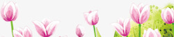 粉色卡通手绘花朵郁金香素材