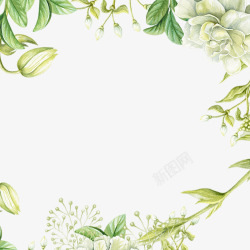 复古纯色背景手绘水彩绿色花卉元素高清图片